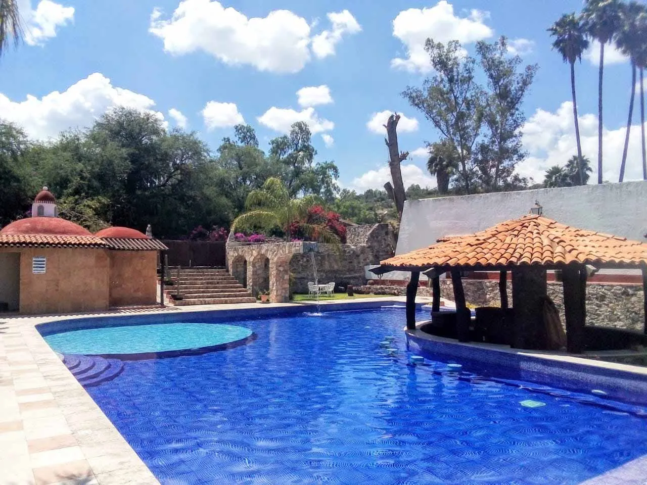Alberca y jardines